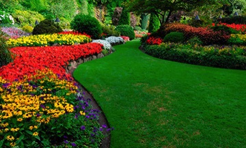 Lawn and Landscaping Services